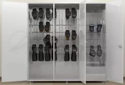 Шкаф для сушки обуви СКС-3У